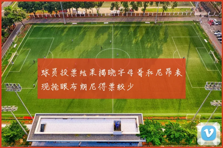 球员投票结果揭晓字母哥和尼昂表现抢眼布朗尼得票较少