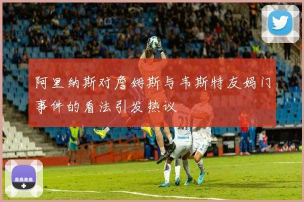阿里纳斯对詹姆斯与韦斯特友妈门事件的看法引发热议